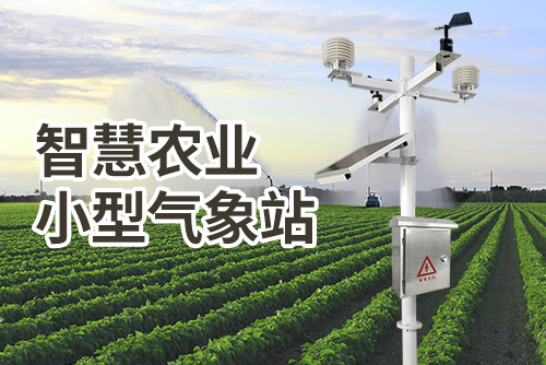 智慧农业小型气象站3