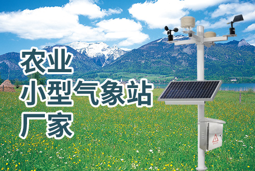 农业小型气象站厂家2